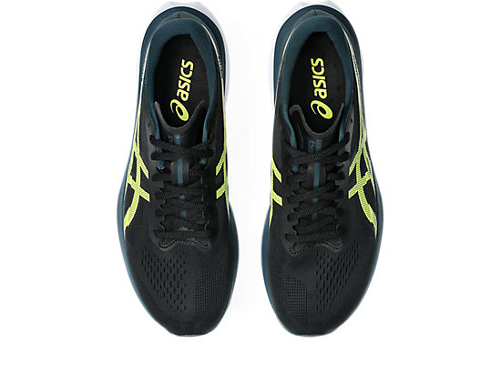 1011B875_001_SB_TP_GLB