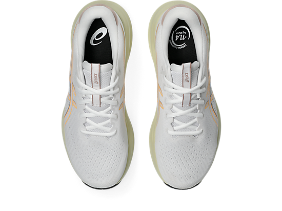 1011C080_100_SB_TP_GLB