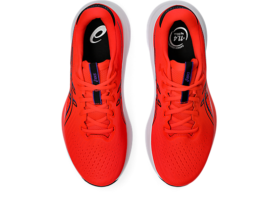 1011C080_600_SB_TP_GLB