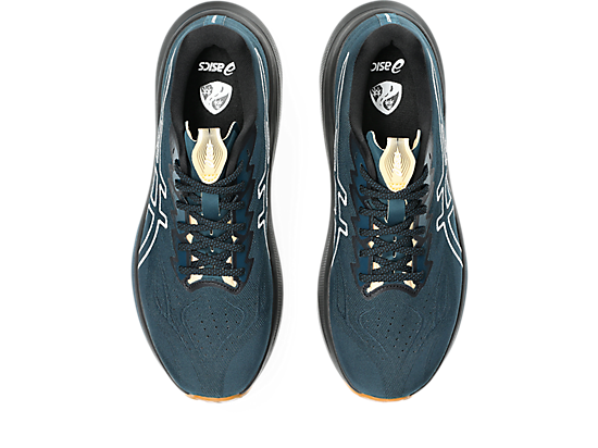 1011C129_300_SB_TP_GLB