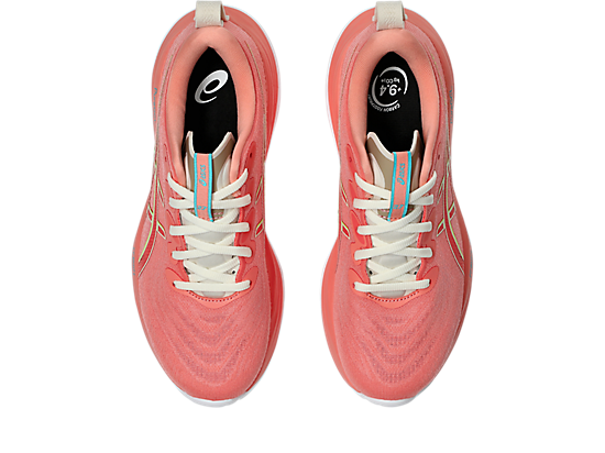 1012B772_700_SB_TP_GLB