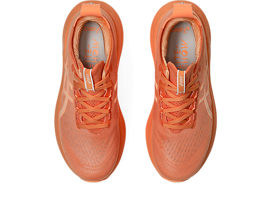 1012B817_800_SB_TP_GLB