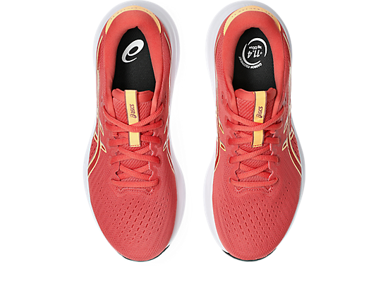 1012B861_700_SB_TP_GLB