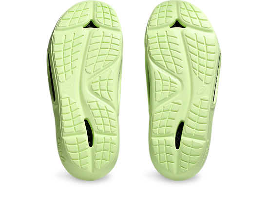 1013A133_301_SB_BT_GLB