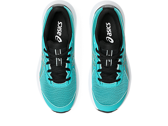 1014A337_403_SB_TP_GLB