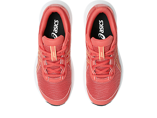 1014A337_704_SB_TP_GLB