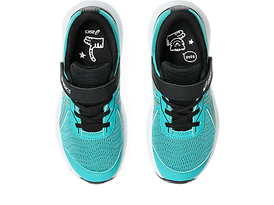 1014A338_403_SB_TP_GLB