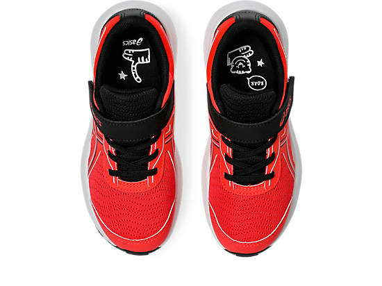 1014A338_600_SB_TP_GLB