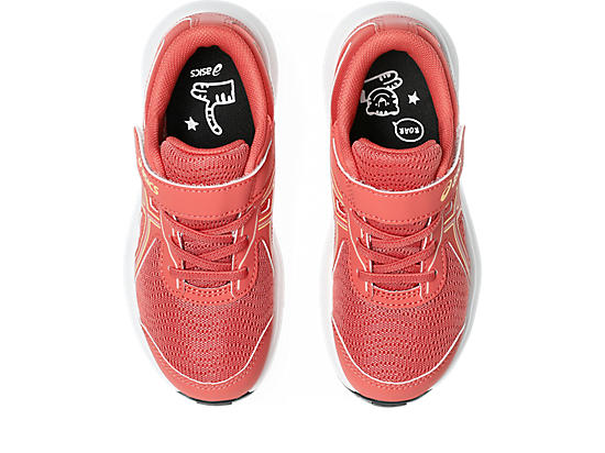 1014A338_704_SB_TP_GLB